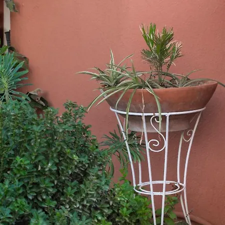 The House Dimitra *